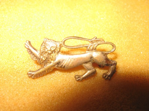 Rare old 1974 - old, lions
