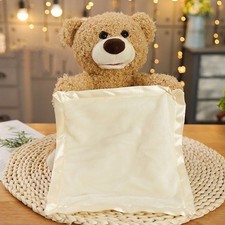 Peek-A-Boo Teddy Bear Plush