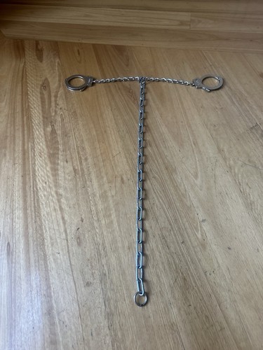 Chicago leg irons with - irons, 30