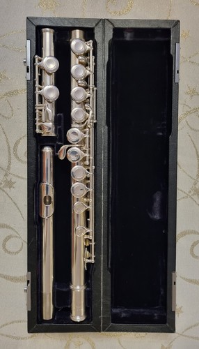 Trevor james 10ix flute - james,