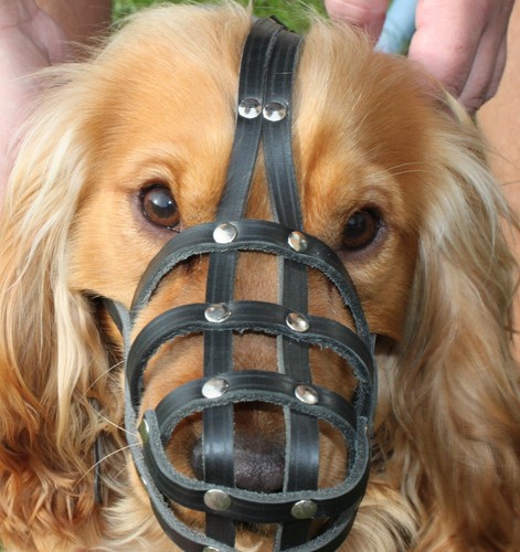 Light leather dog muzzle - light,