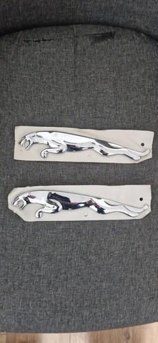 Genuine jaguar front grill - front,