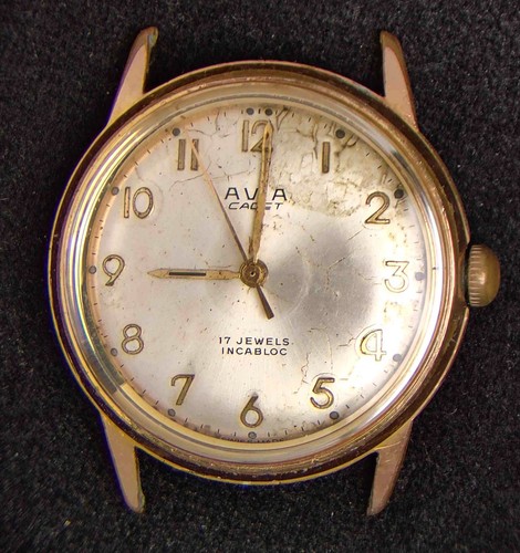 Avia cadet patina dial men - avia, men's