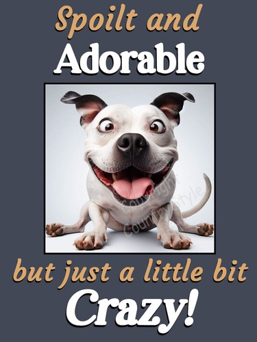 Staffy staffordshire bull - staffy,