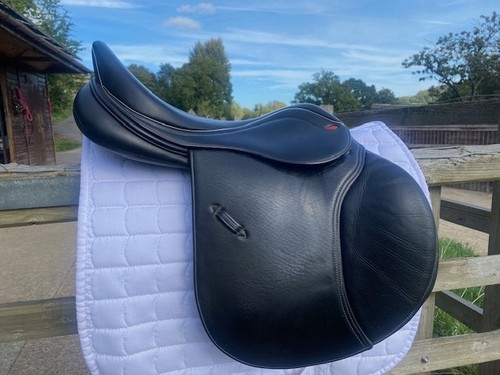 John whitaker bedale jump - john, gp