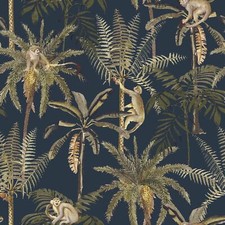 World of Wallpaper Amazonia