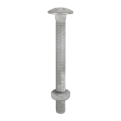 Timco carriage bolts hex - carriage, &