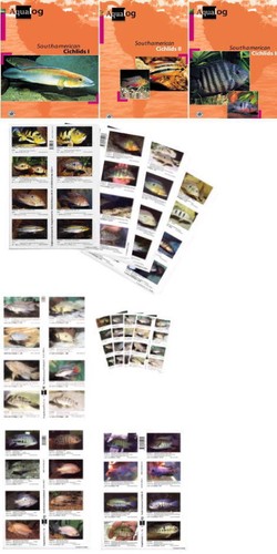 Aqualog south american - south,