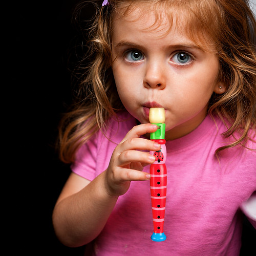 Kids wooden piccolo flute - wooden,