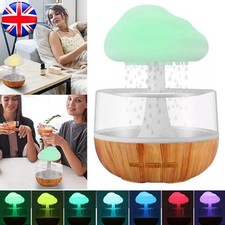 Rain Cloud Air Humidifier 7