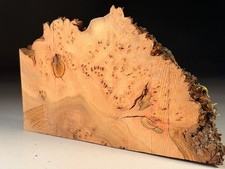 Burr Elm Live Edge Woodturning