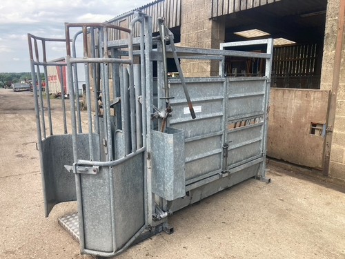 Ritchie galvanised cattle - galvanised,