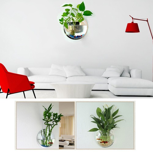 Home wall mount fish tanks - home,