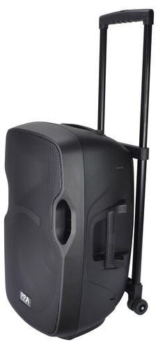 Inch portable speaker - 12,