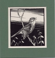 Peter Scott  ~ NIGHTINGALE ~ Black and White print ~ Original 1936