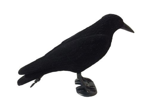 Flocked crow full body - crow,