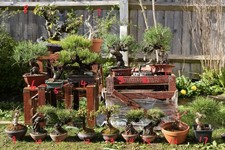 Holiday Clearance Sale –