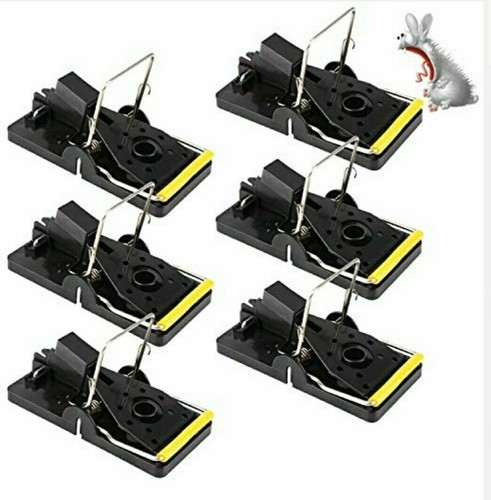 Traditional mouse traps - ,
