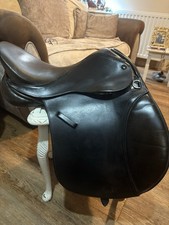 15.5”  Wide/extra Wide Pony