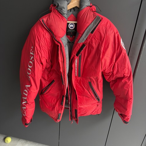 Canada goose skreslet arctic - goose,