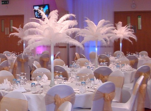 Used 10x large white ostrich - large,
