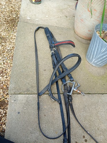 Stubben bridle cob black inc - stubben,