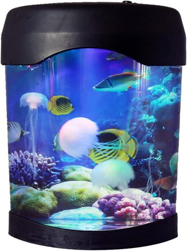 Jellyfish lava tank aquarium - jellyfish,