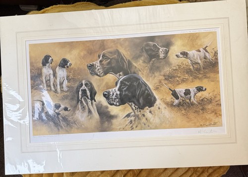 English pointers sold - pointers,