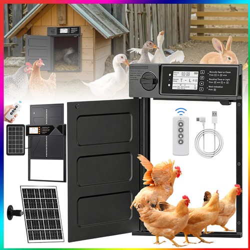 Automatic chicken coop door - chicken,