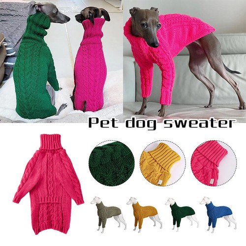 Winter dog knitted - dog,
