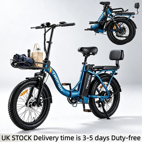 Fat tyre ebike - 20"fat,