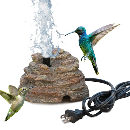 Bird bath water - bath, fountain