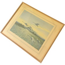 Framed Art Print by Peter Scott 1937 Swans in Flight Landscape Scene