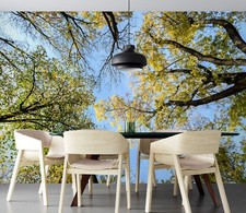 3D Cool Forest R2932 Wallpaper