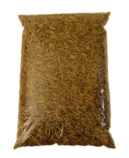 Dried Mealworms Premium Wild