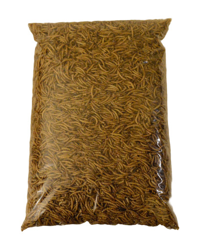 Dried mealworms premium wild - dried,