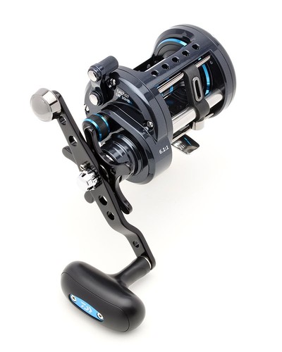 Daiwa saltist level wind - level,
