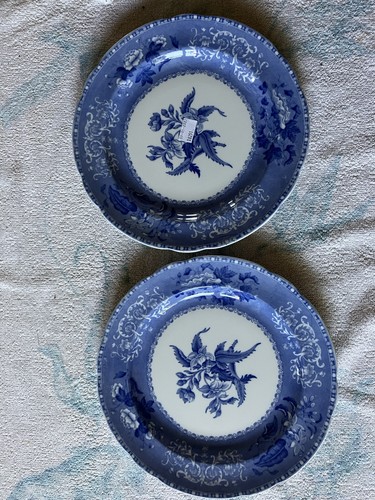 Pair vintage spode - of, blue