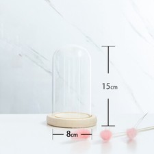 Glass Dome Display Bell Jar