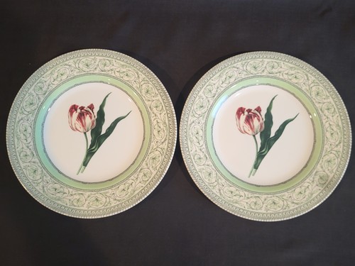 Set royal horticultural - 2,