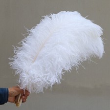 10x Large Ostrich Feathers for