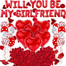 Will You Be My Girlfriend