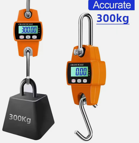 300kg mini crane scale - 300kg,
