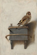 The Goldfinch Vintage 1654