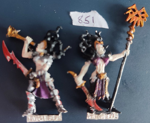 Witch elf standard bearer - elf,
