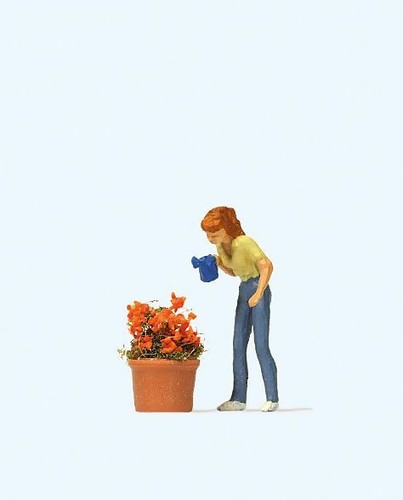 Watering the flowers oo - the,