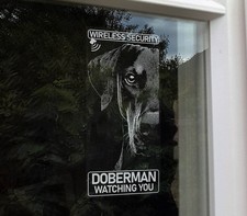 Doberman Wireless Security