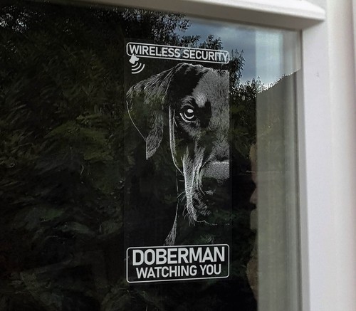 Doberman wireless security - wireless,
