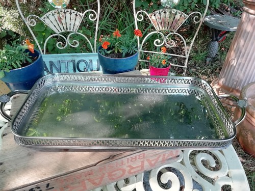 Vintage cavalier silver - silver, plated