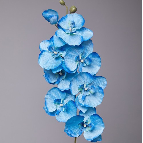 Artificial silk butterfly - silk,